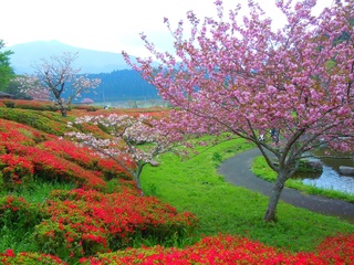2017椎八重公園2.jpg
