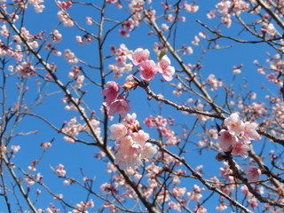 DSCN1612.JPG