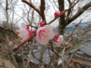 DSCN1682.JPG
