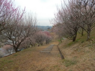 DSCN1684.JPG