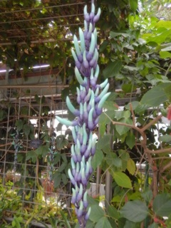 DSCN1690.JPG