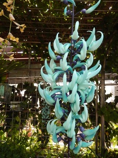DSCN1737.jpg