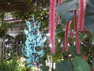 DSCN1738.jpg