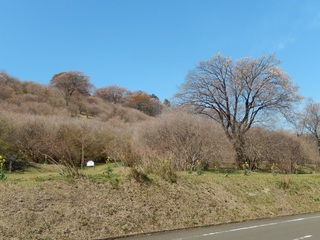 DSCN1813.jpg