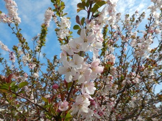 DSCN1832.jpg