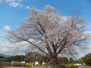 DSCN1857.jpg