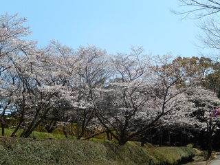 DSCN1900.jpg