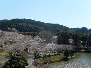 DSCN1903.jpg