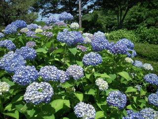 DSCN2232.JPG