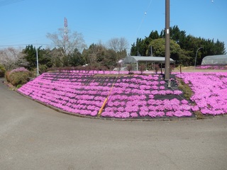 DSCN3465.jpg