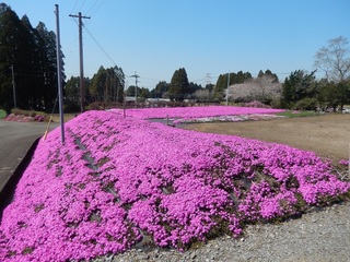 DSCN3468.jpg