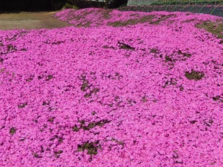 DSCN3479.jpg