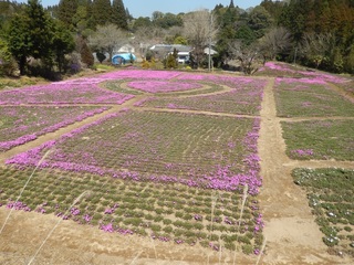 DSCN3480.jpg
