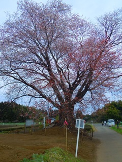DSCN6936.jpg