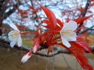 DSCN6944.jpg