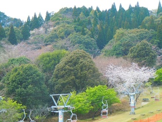 DSCN6981.jpg