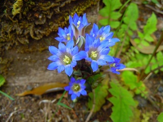 DSCN6983.jpg