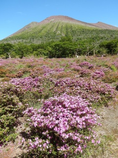 鹿の原1.jpg