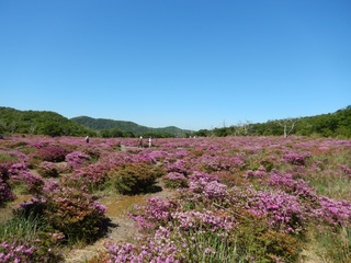 鹿の原2.jpg